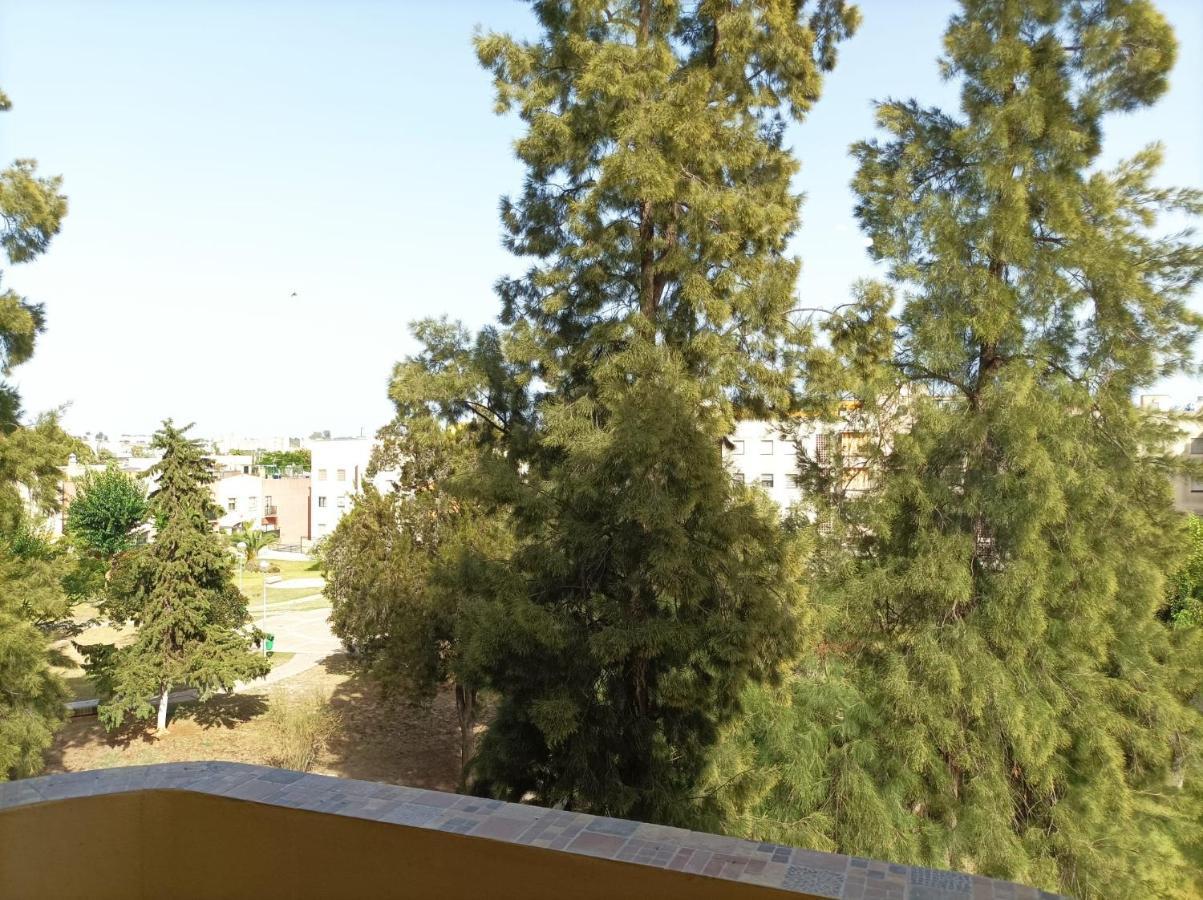 Super Luminoso Y Muy Tranquilo Con 2 Dormitorios Jerez de la Frontera Eksteriør bilde